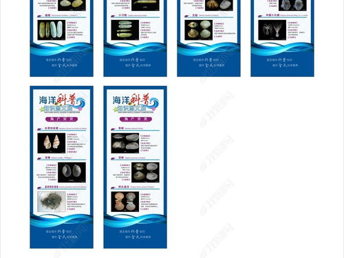 藍色海洋科普圖文展易拉寶展架設計 探索海洋奧秘，守護蔚藍家園