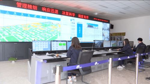 濱海區(qū) 以信息技術(shù)開(kāi)發(fā)為引擎，筑牢企業(yè)安全管理新防線(xiàn)